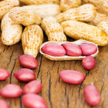 Spanish Peanut Seeds for High Yield - Fast-Growing Groundnut Variety | Easy to Cultivate