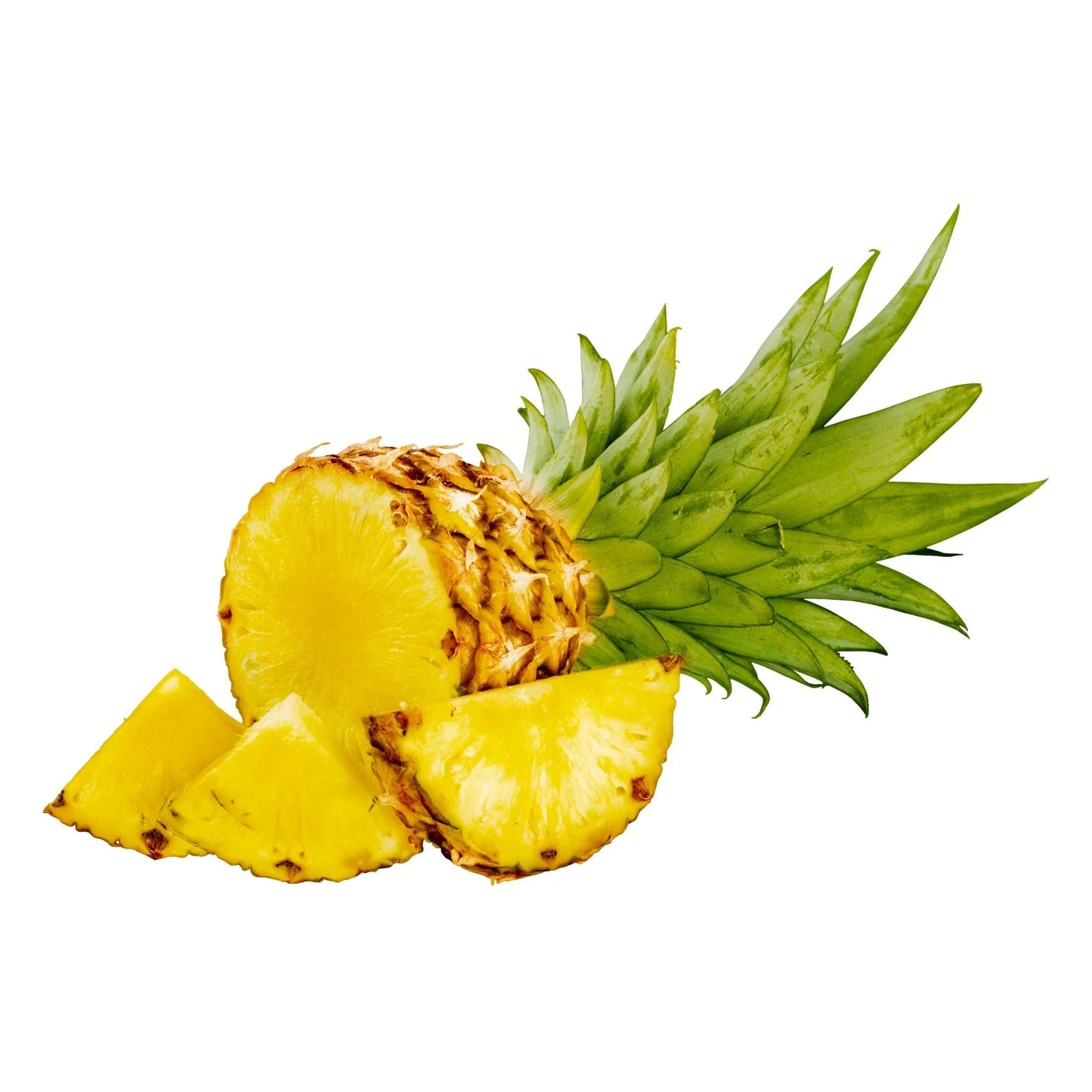 Queen Victoria Pineapple (Ananas comosus) Seeds for Planting – Heirloom, Non-GMO, Easy to Grow, Tropical Fruit Variety