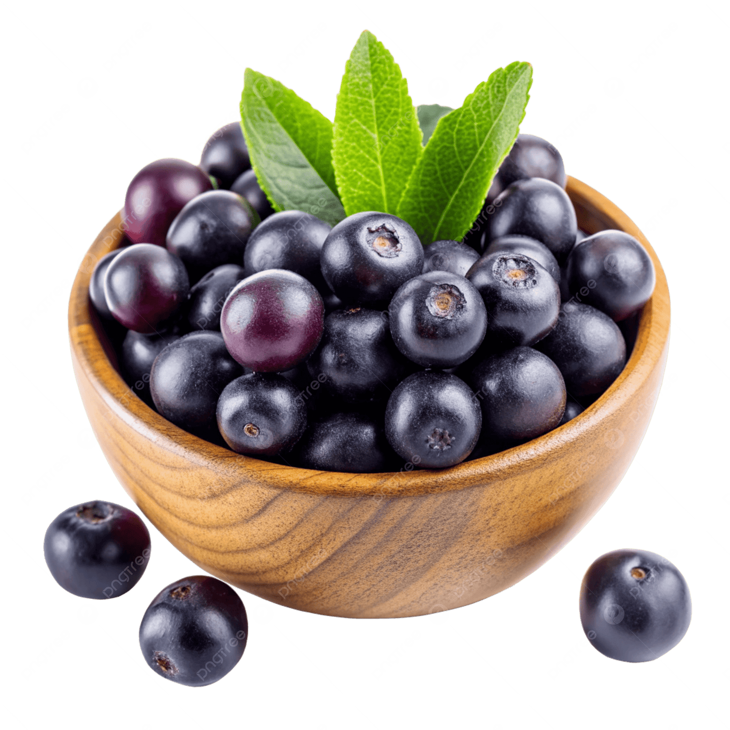 Acai Fruit Seeds for Planting – Fresh and Natural Seeds