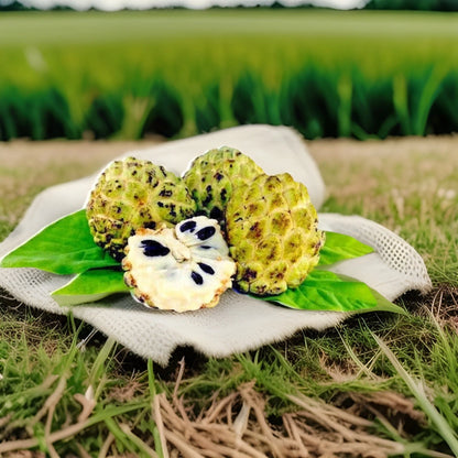 Sugar Apple Annona Squamosa Tropical Fruit Tree Seeds