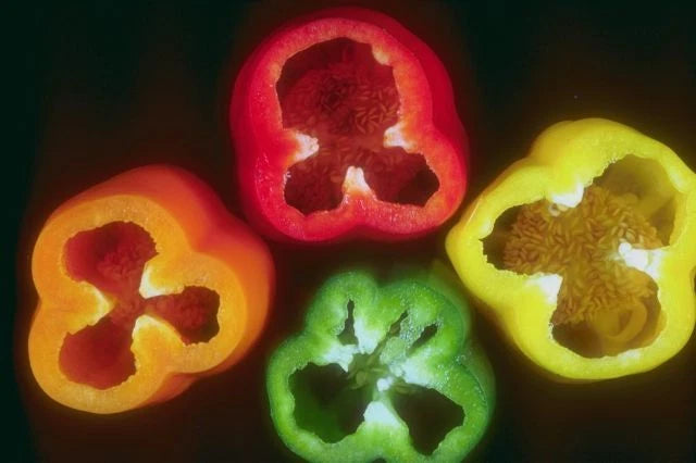Sweetest Redyellowgreenorange Bell – Garden Fruit Seeds