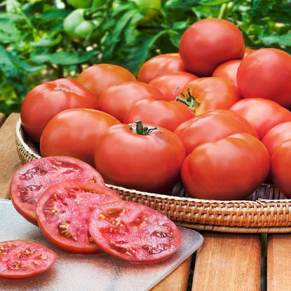 Floradade Tomato Classic Red Vegetable Seeds