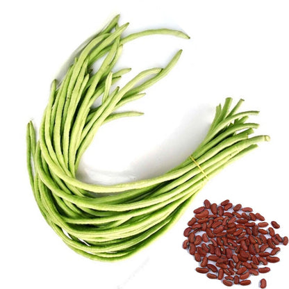 Yard Long Bean – Dark Green Vegetable Seeds