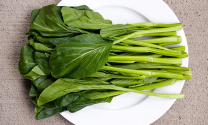 Yu Choy Choi Sum – Asian Vegetable Garden Seeds