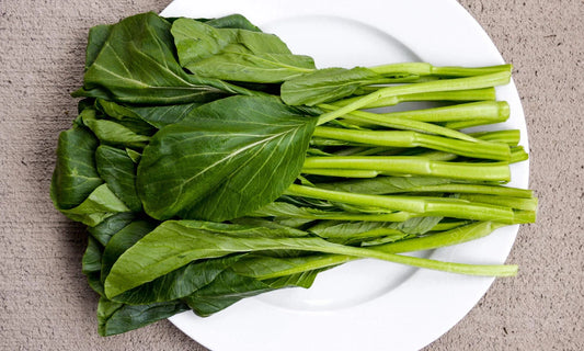 Yu Choy Choi Sum – Asian Vegetable Garden Seeds