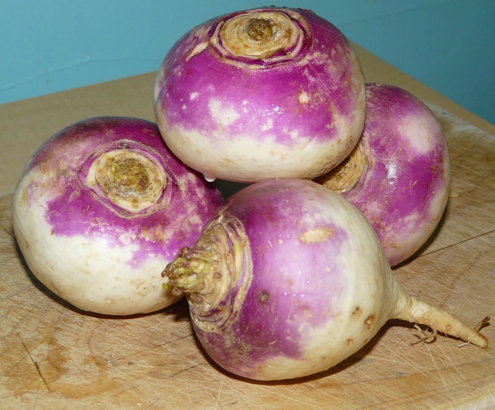 Rutabaga Bulk Seeds – Garden Flower Seeds for Planting