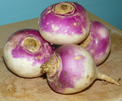 Rutabaga Bulk Seeds – Garden Flower Seeds for Planting