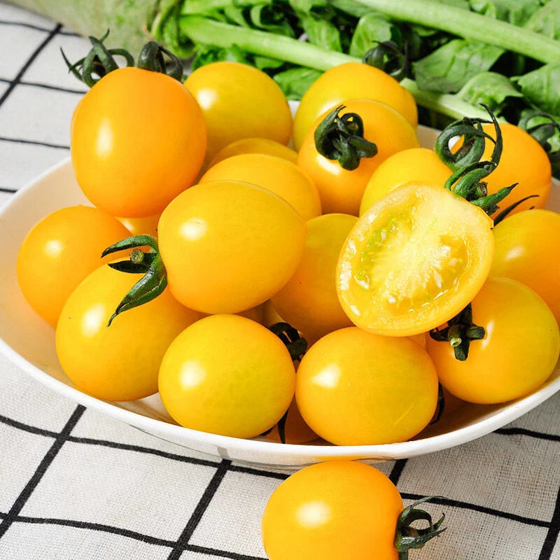 Sunsugar Cherry Tomato Seeds Plants Sun Sugar Gold - Garden Fruit
