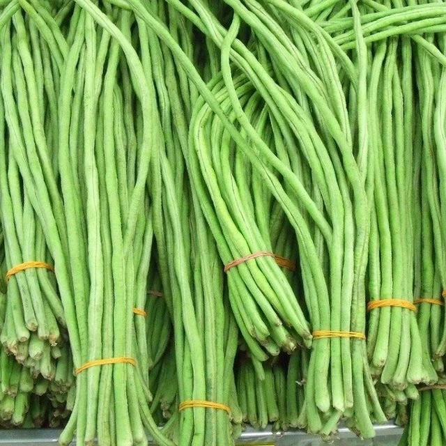 Yard Long Bean Vigna Sesquipedalis Hardy Vegetable Garden Seeds