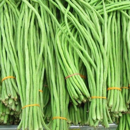Yard Long Bean Vigna Sesquipedalis Hardy Vegetable Garden Seeds