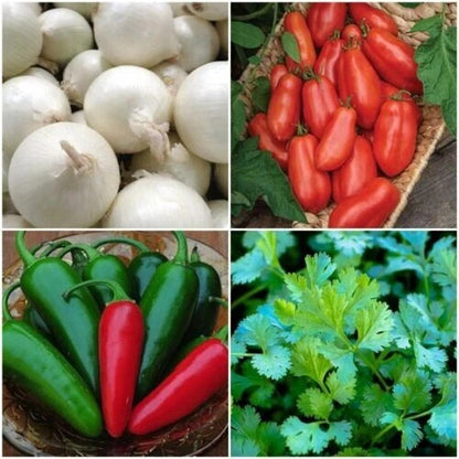 Pico de Gallo Garden Seed Kit Vegetable Planting Seeds