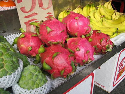 Dragon Fruit Seeds (Pitaya / Pitahaya / Strawberry Pear)