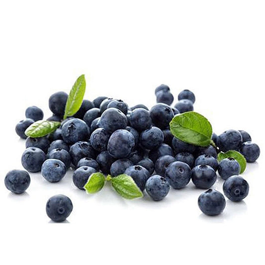 European Blueberry Seeds – Garden Fruit Seeds for Planting