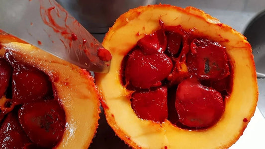 Momordica Cochinchinensis Flower Seeds for Planting
