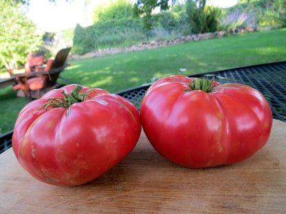 Olimp Malinovyi Tomato – Heirloom Vegetable Garden Seeds