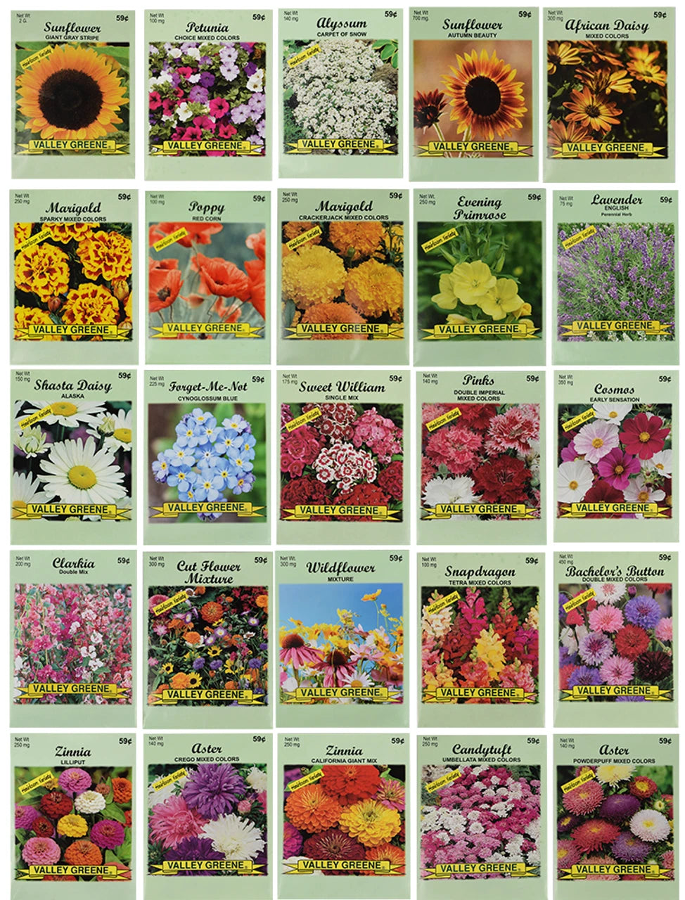Valley Green Flower Seed Pack Mixed Garden Flower Seeds
