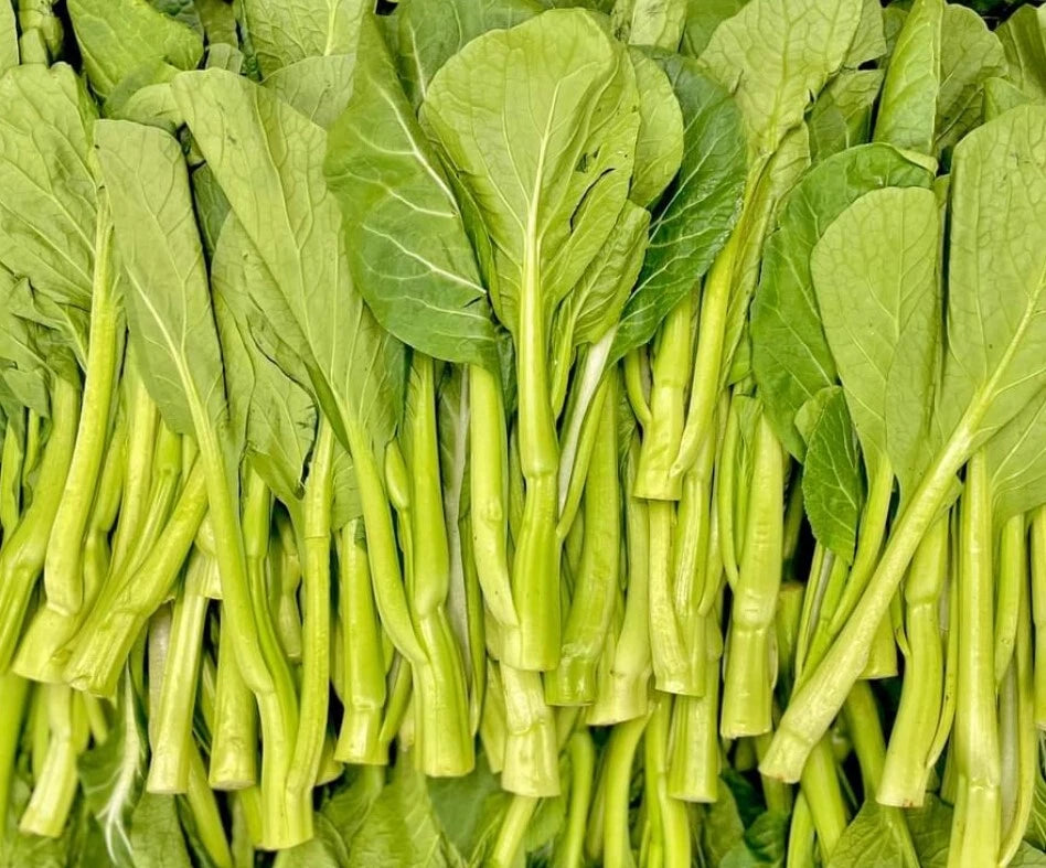 Yu Choy Sum – Fast Growing Leafy Vegetable Seeds