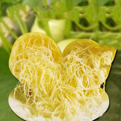 Spaghetti Squash – Summer Vegetable Seeds