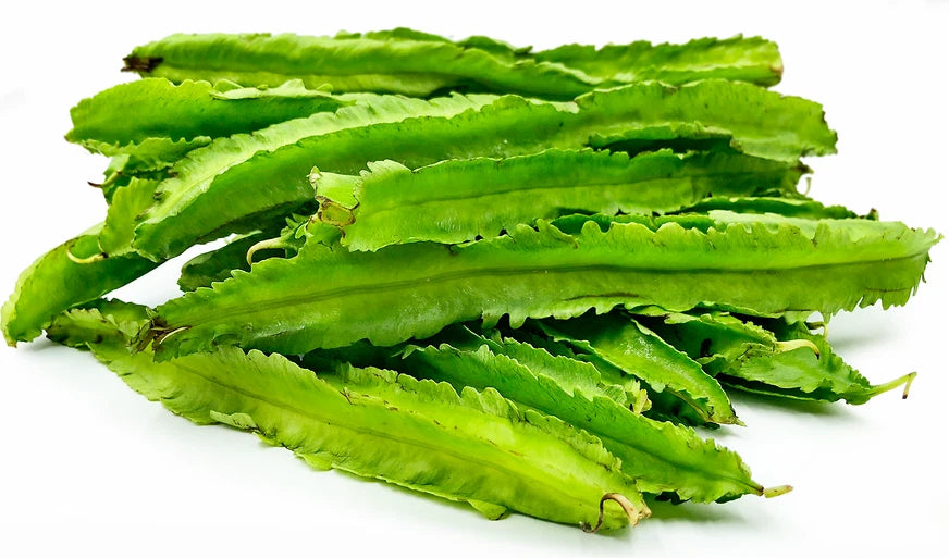 Winged Bean Psophocarpus Tetragonolobus Vegetable Garden Seeds