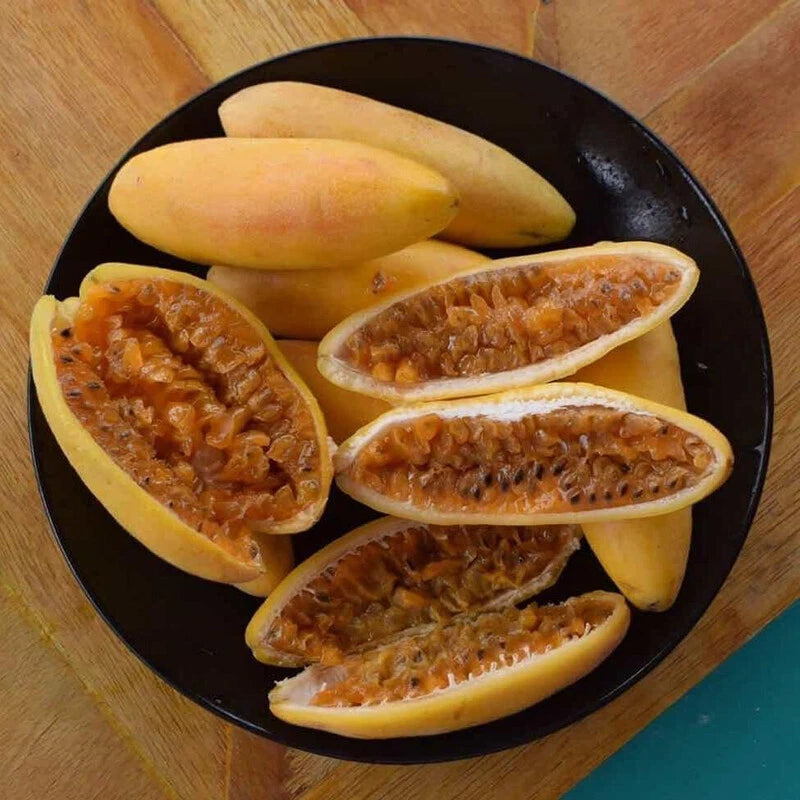 Banana Passionfruit Passiflora Tarminiana Fruit Vine Seeds