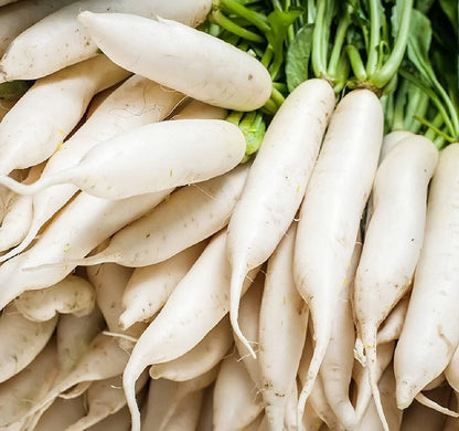 Japanese Daikon Radish Seeds for Planting Heirloom Non GMO Seeds