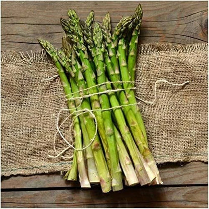 Mary Washington Asparagus Seeds Non-GMO Fresh Garden Seeds for Planting