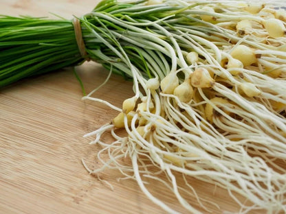 Wild Chives Seeds for Planting Non-GMO Heirloom