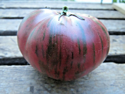 Fred's Tie Dye Tomato – Heirloom Vegetable Garden Seeds