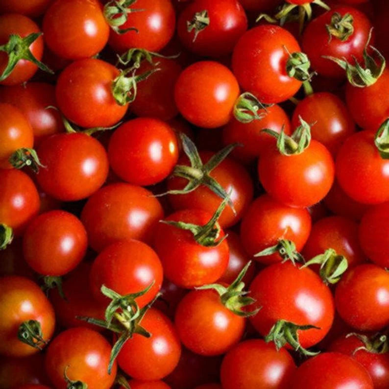 Small Red Cherry Tomato Seeds Non - Garden Vegetable Seeds
