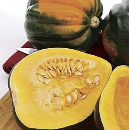 Acorn Squash Seeds for Planting King Table Squash Delicious and Nutritious