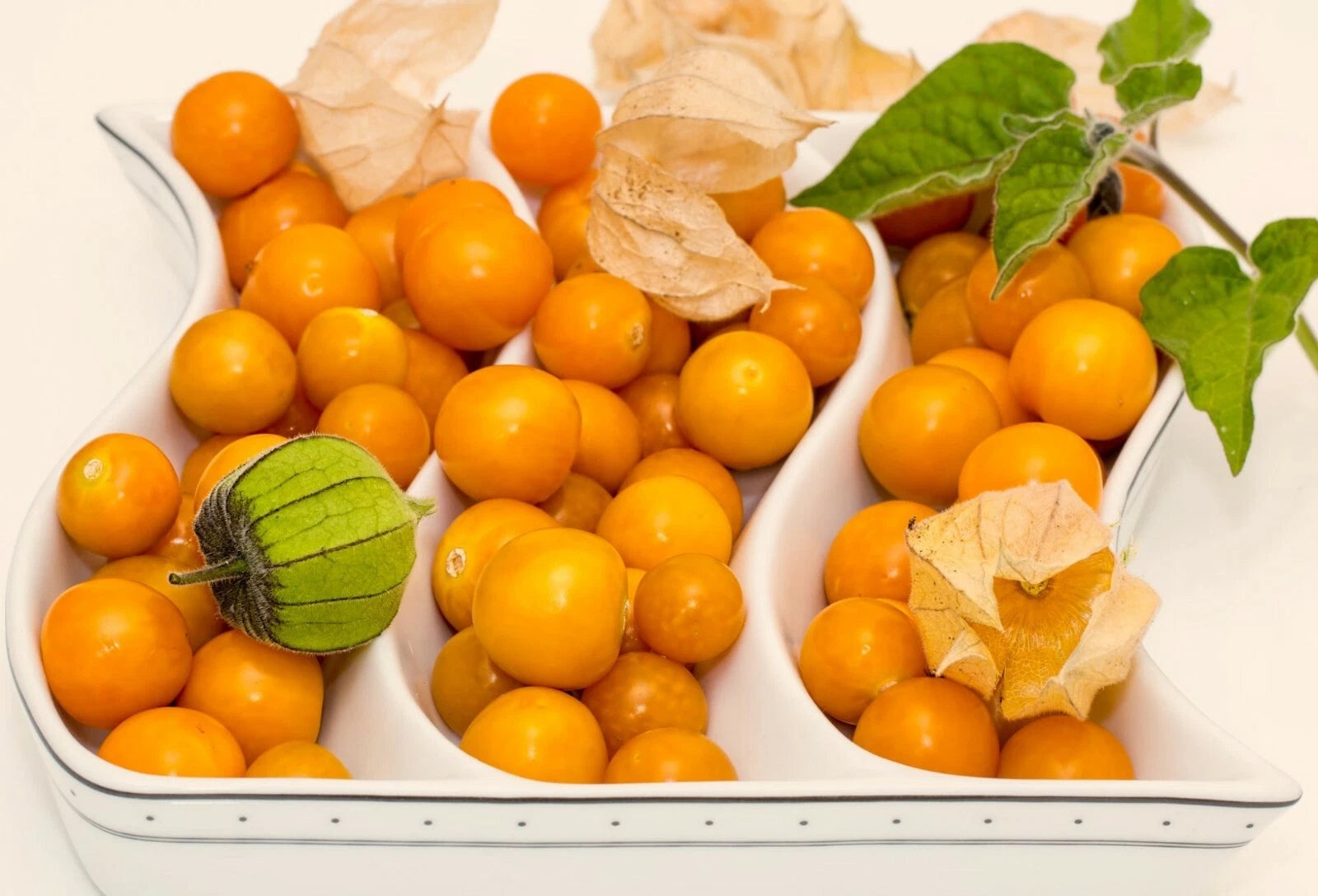Ground Cherry Physalis Peruviana Cape Gooseberry Vegetable Seeds