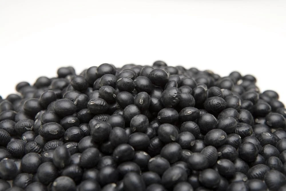 Chia Seeds for Planting - Chia Microgreens