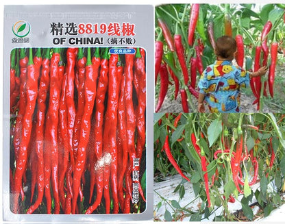 Chili Pepper – Red Spicy Vegetable Seeds