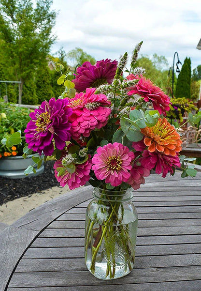 Dahlia Flowered Mix Zinnia – Colorful Wildflower Garden Seeds