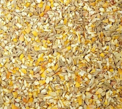 Premium Scratch Grains Bird Feed Corn Sunflower Wheat Oat Barley Milo and Millet Seeds