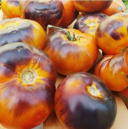 Lucid Gem Tomato + – Vegetable Seeds