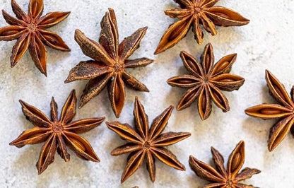 Chinese Star Anise Illicium Verum – Fragrant Shrub Tree Seeds