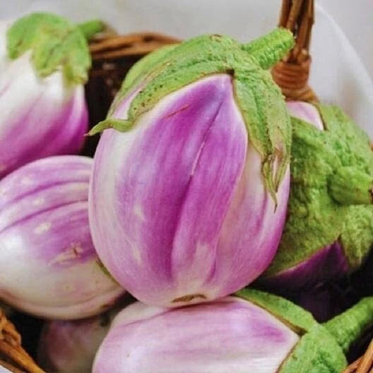 Rosa Bianca Eggplant Seeds Heirloom Non GMO Solanum Melongena