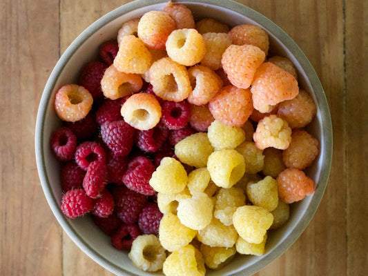 Raspberry Fruit Garden Plants Natural Varieties