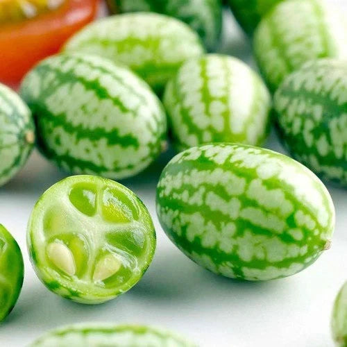 Cucamelon Mousemelon Seeds – Garden Fruit Seeds for Planting