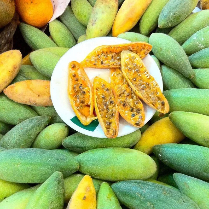 Banana Passionfruit Passiflora Mollissima Fruit Vine Seeds