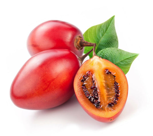 Red Tamarillo Solanum Betaceum Fruit Tree Garden Seeds