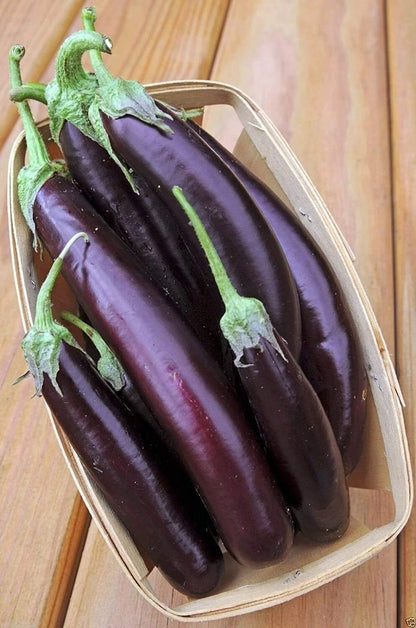 Long Purple Eggplant Seeds for Planting Non-GMO Exotic Heirloom Vegetables