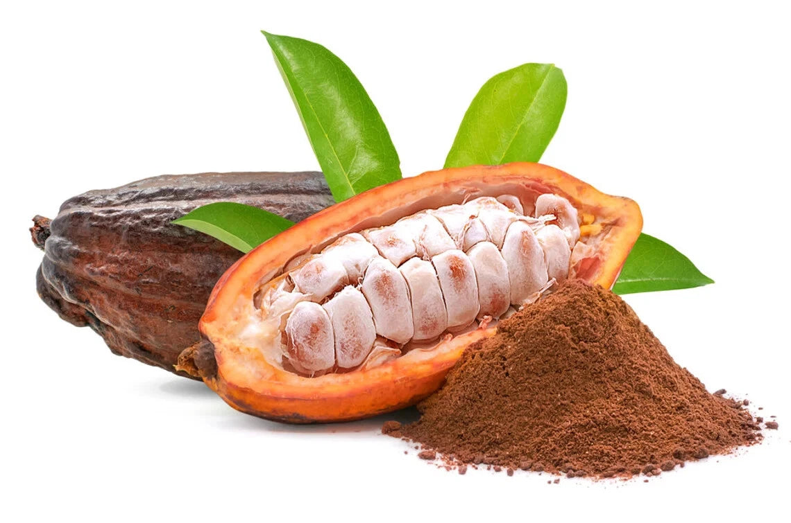 Cacao Tree Seeds For Planting Wet Cocoa Seeds Rare, Exotic Cacao Tree Seeds