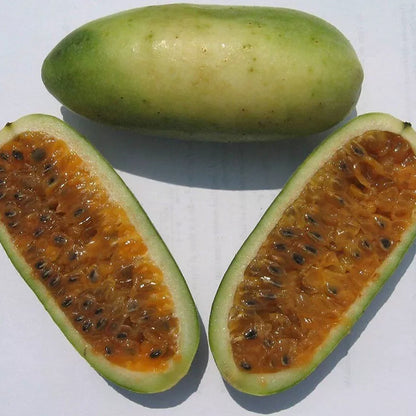Banana Passionfruit Passion – Garden Fruit Seeds
