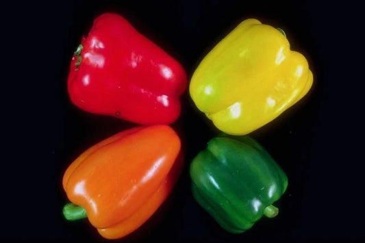 Bulk Seeds Sweetest – Garden Vegetable Seeds for Planting