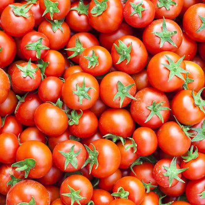 Large Cherry Tomato – Garden Vegetable Seeds