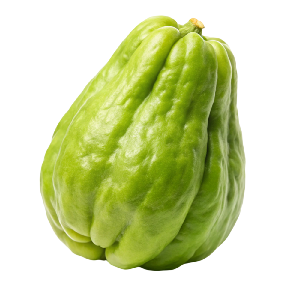 Smooth Green Chayote Seeds – Smooth Skin, Mild-Flavour Vegetable Variety