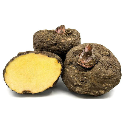 Yam Vegetable Seeds High-Yield Tuber Crop Nutritious and Easy to Grow